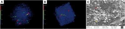 Sediment Microstructure in Gas Hydrate Reservoirs and its Association With Gas Hydrate Accumulation: A Case Study From the Northern South China Sea